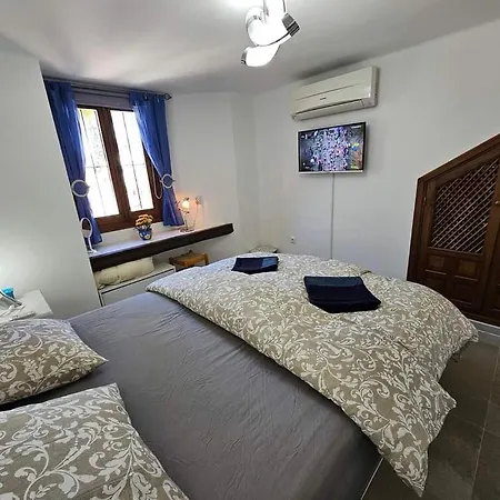 Zozo Playa Locos * Торевьиа